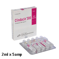 Clindacin 300 mg injection